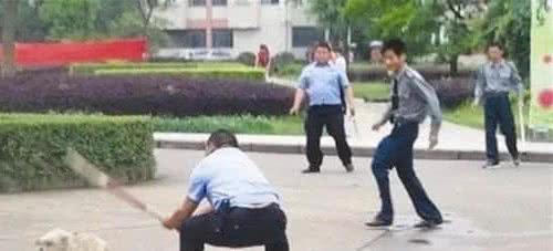 人生有很多想不到，我是如何一步步成为“爱狗一族”的