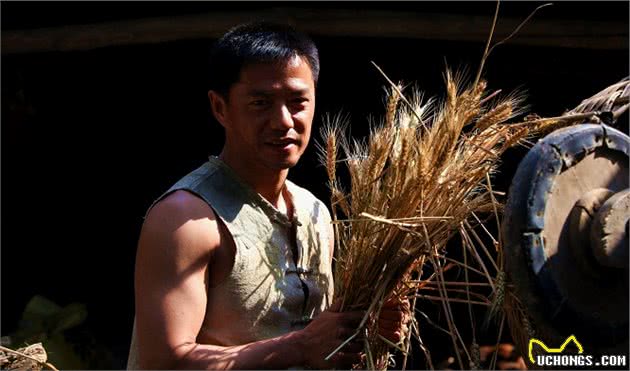 俗话说“人怕仰头，狗怕背手”，啥意思？老祖宗说的三句话很有理