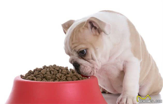 中型犬狗粮什么牌子好？