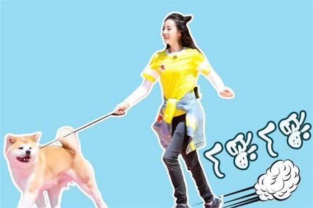 养狗不遛狗的6大后果，狗狗一天内需要遛多少次？