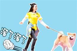 养狗不遛狗的6大后果，狗狗一天内需要遛多少次？