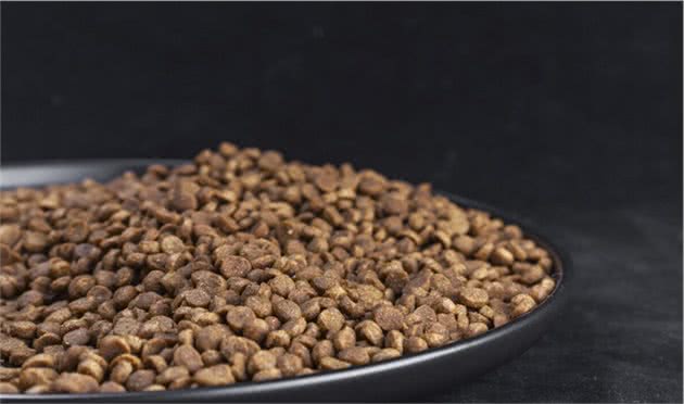 想给狗狗改善生活？这10种食物能充当营养添加剂，放心喂