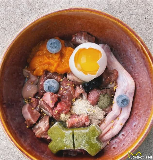 想给狗狗改善生活？这10种食物能充当营养添加剂，放心喂