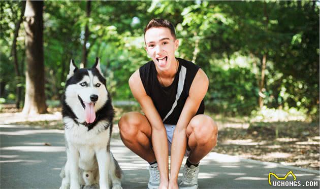 6大“无攻击性”犬种，性格温顺不咬人，适合有孩家庭饲养