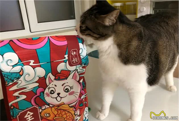 养猫避坑指南，拒交智商税，只买对的不买贵的