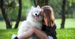 养狗后宠主如果有这7个变化，说明你对狗子“用情太深”