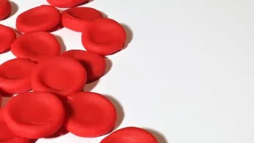 宠物也会贫血，教你几招快速治疗宠物贫血