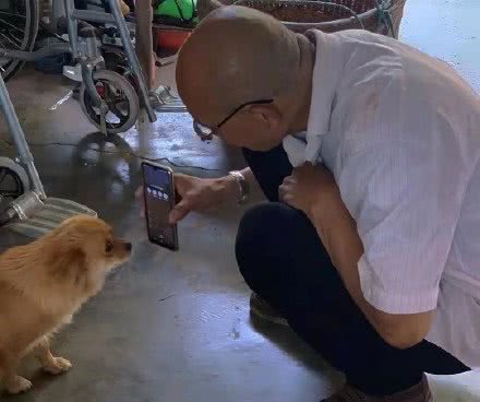 连狗狗也开始内卷了，你家的狗狗有什么特殊技能呢？