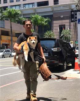 烈日下主人坚持单手抱30斤狗狗，太爱它怕它受伤了