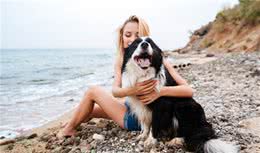 狗狗喜欢你的十大表现，要是一个也没有，就该反省一下了