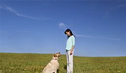 怎么样训练狗狗坐卧立？