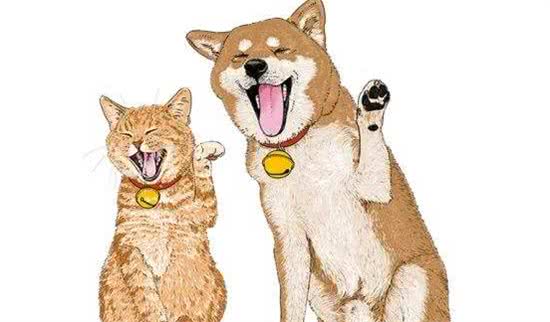 想要猫狗双全的宠主，不妨选择这几种狗狗，盘点6种亲近猫咪的狗