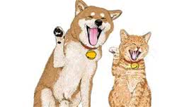 想要猫狗双全的宠主，不妨选择这几种狗狗，盘点6种亲近猫咪的狗