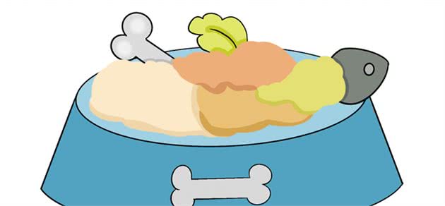 宠乐问答：狗狗可以吃生肉吗？
