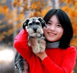 饲养雪纳瑞，很多人忽略这几点，难怪养不好