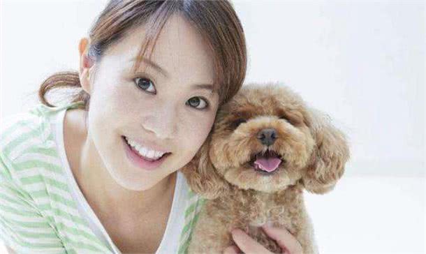 总结了泰迪犬的6种性格，很多人喜欢前两种，你喜欢哪一种