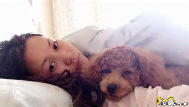 总结了泰迪犬的6种性格，很多人喜欢前两种，你喜欢哪一种
