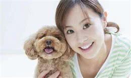 总结了泰迪犬的6种性格，很多人喜欢前两种，你喜欢哪一种