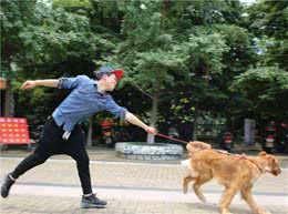 为什么遛狗时，狗狗会拼命拉着宠主往前跑？其实原因有5点