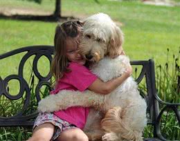 这几种感受，养狗之后才会有，没养狗的人只有“羡慕”的份