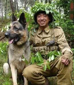 请记住我们的国产警犬—昆明犬，不要再忽略它的存在