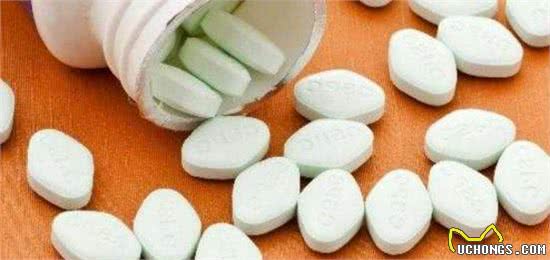 柯基犬的饲养经验分享