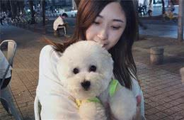 怕狗狗掉毛不敢养？这5种狗狗值得一养，不掉毛还易养