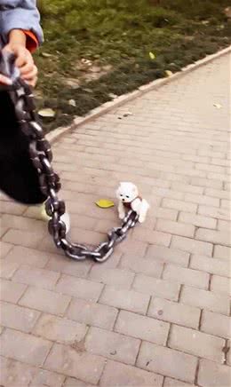 女子手拽胳膊粗的狗链，男子以为是什么恶犬，看清后舒了口气