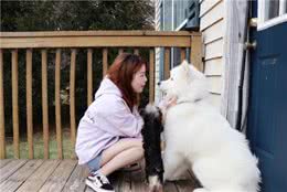 爱犬洗澡不配合，铲屎官只需学会五招，在家也能轻松洗狗！