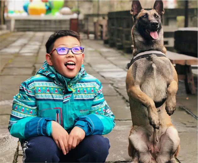 只需做到3点，带狗狗自驾旅行永不会被嫌弃