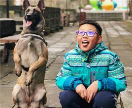 只需做到3点，带狗狗自驾旅行永不会被嫌弃