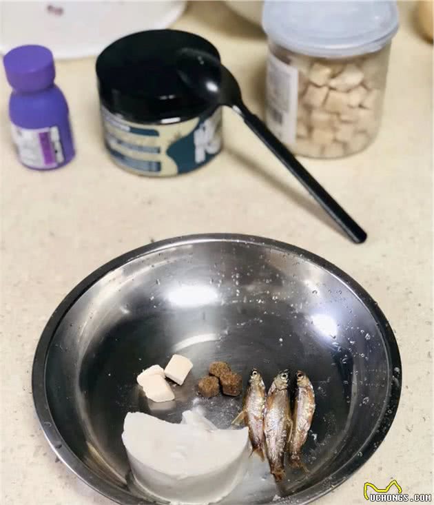 宠物碗竟然比马桶还脏1000倍？