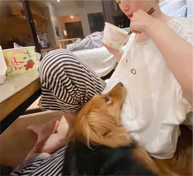 妈称赞邻居家狗狗聪明会开门，当晚爱犬吃醋狂示范开门：我也会嘛