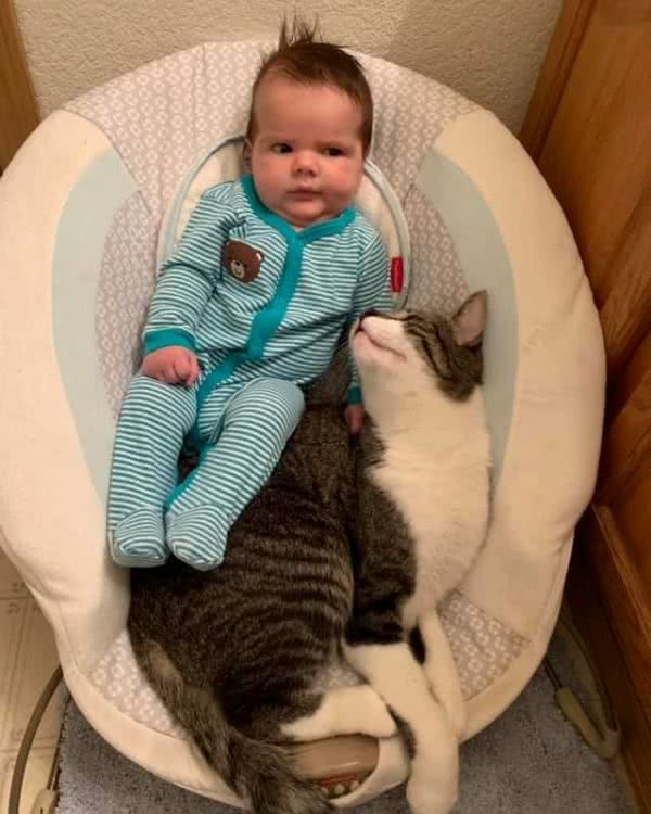 猫咪起初高冷无情，孩子出生后变得特别亲人，其实背后另有目的