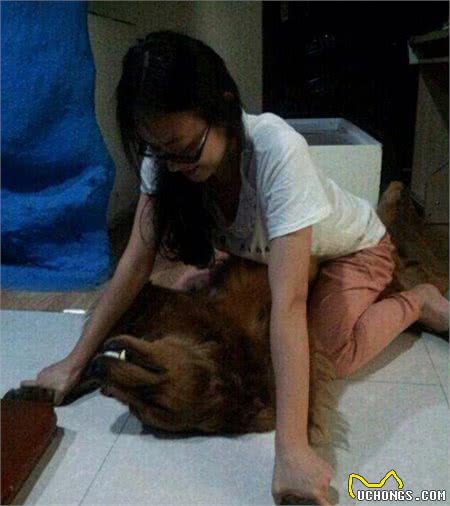 关于狗狗的5条冷知识第5条最重要，一定要记住！