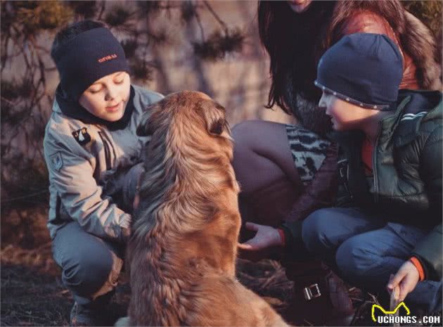 狗狗为什么总是喜欢扑人呢？这种行为有什么危害？该如何纠正呢