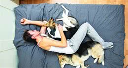 怎么给狗狗在家里做规矩？