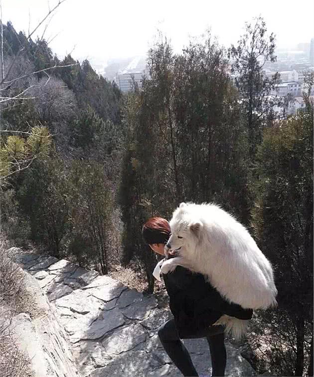 妈妈带狗爬山，回来后趴在沙发上起不来：明明是在考验我
