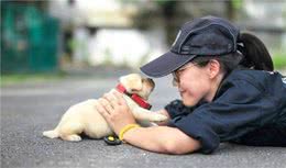 警局新到的一批警犬，小家伙们“超凶”的！网友：哎哟，吓死人啦