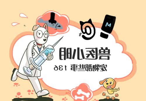 为什么有些人偏爱养公犬，仅仅是因为好打理？优点其实不少哦