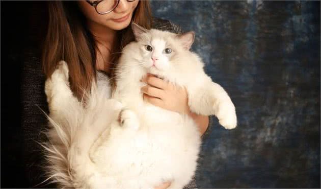 盘点最喜欢叫的4种猫咪，怕吵的人不要随便养