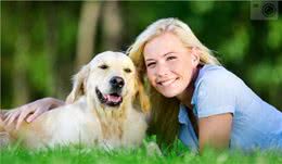 世界上被认可的400多种纯种犬是如何分类的？中国名犬有哪些？