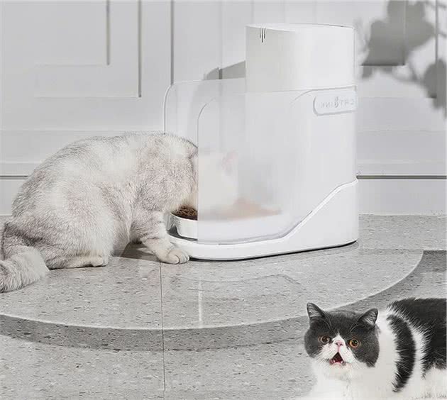 10样猫咪用了都上瘾的神器，铲屎官不允许你不知道