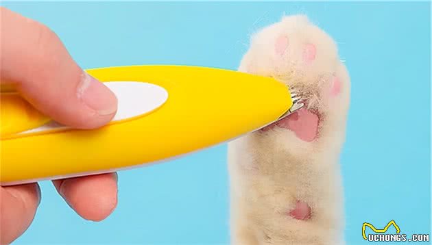 10样猫咪用了都上瘾的神器，铲屎官不允许你不知道