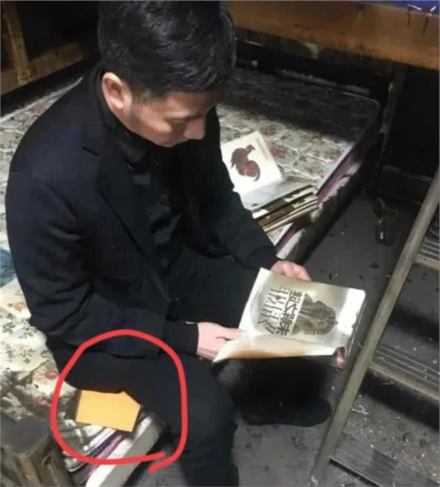 那个叫喜宝的边牧犬，你为小贞流泪了吗
