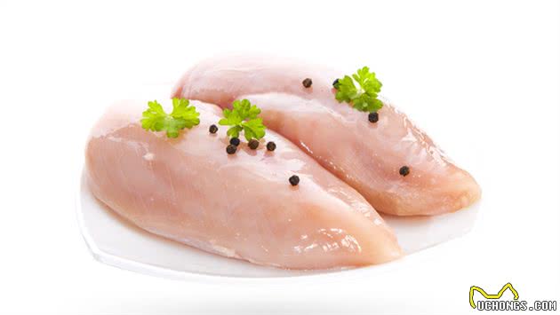 对泰迪“身体有益”的八种食物，一般家庭都有