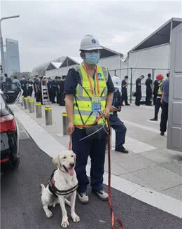 十四运最萌外援上岗！秦华燃气首次引进燃气嗅探犬