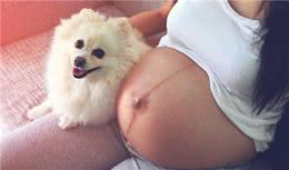 怀孕了，该不该把狗狗送走？