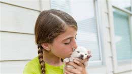 家里面的狗狗有扑人的行为该怎样去纠正呢？附详细教程