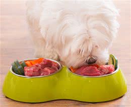 自制狗粮食材怎么搭配？